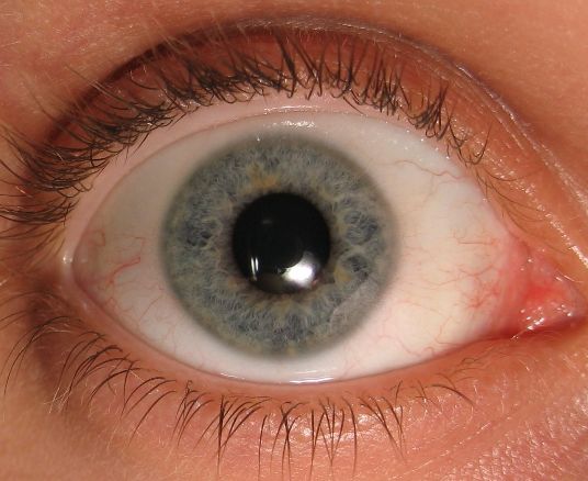 Les lentilles high tech font trembler les casinos francais Les lentilles high tech font trembler les casinos francais